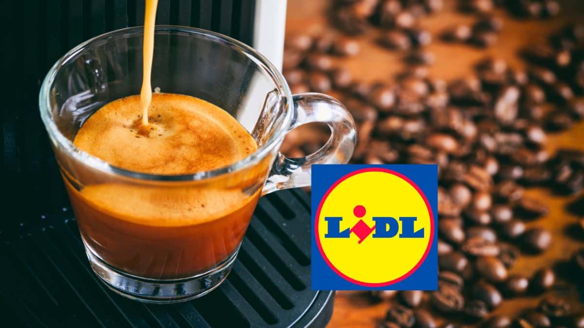 cafe lidl
