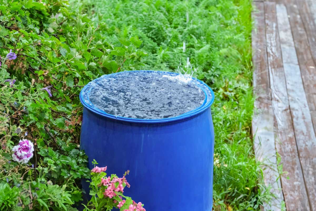 recuperateur deau de pluie et amende