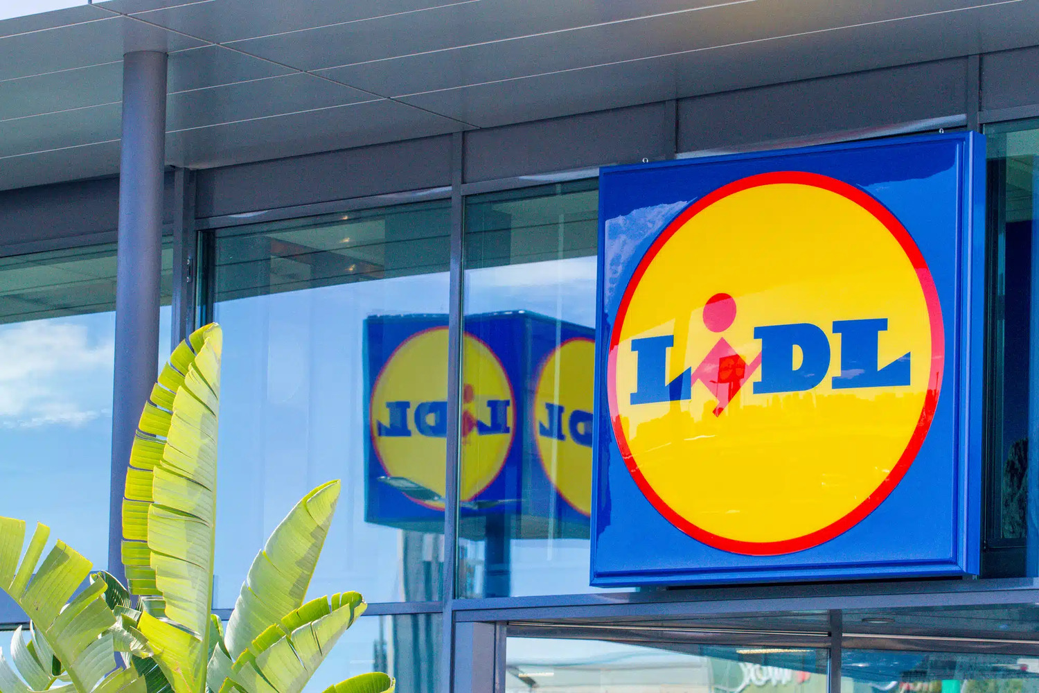 supermarche magasin lidl (1)